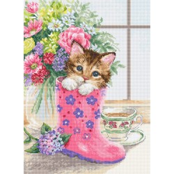 B2390 Красиво коте 